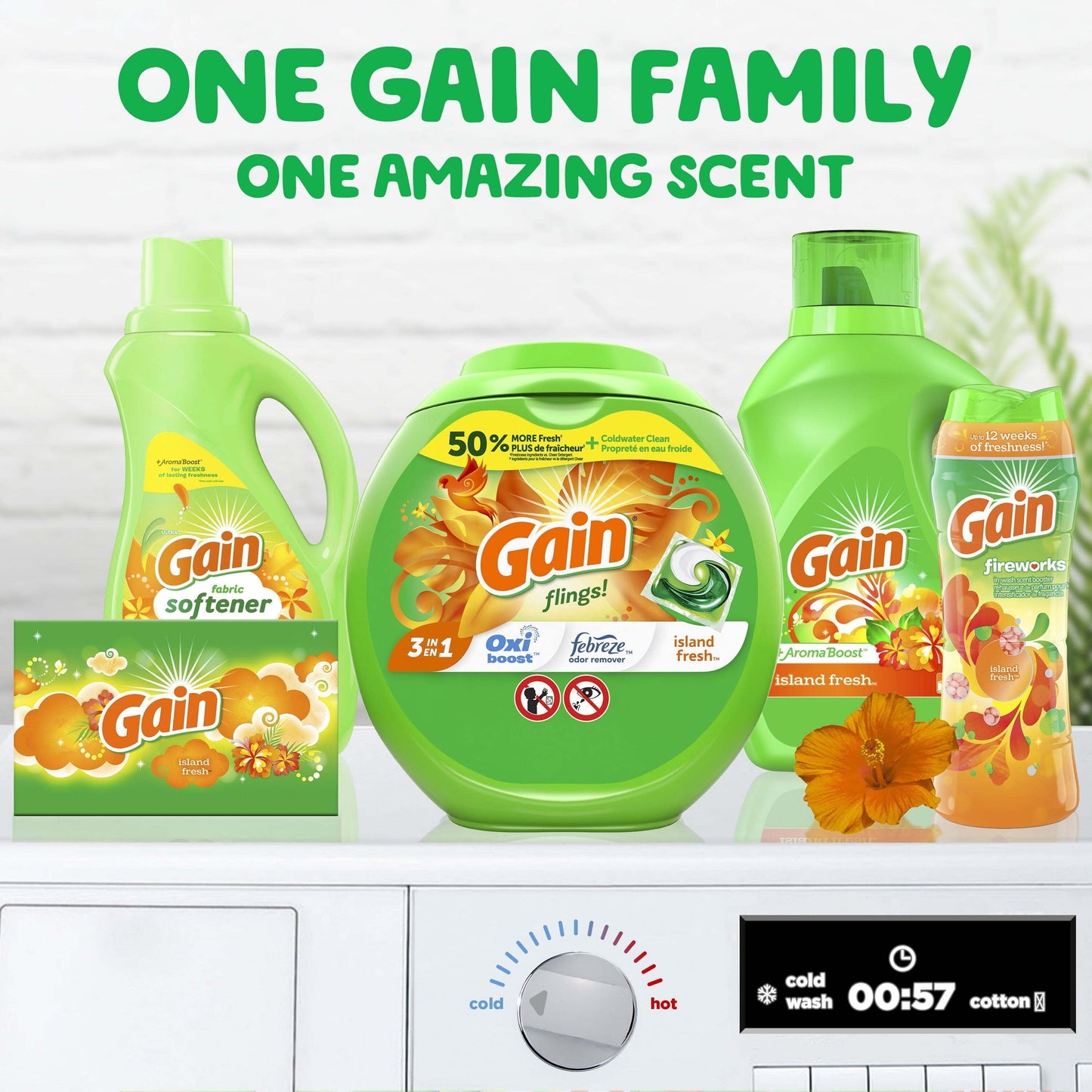 Gain Flings Laundry Detergent Soap Pacs, 60 Ct, Island Fresh