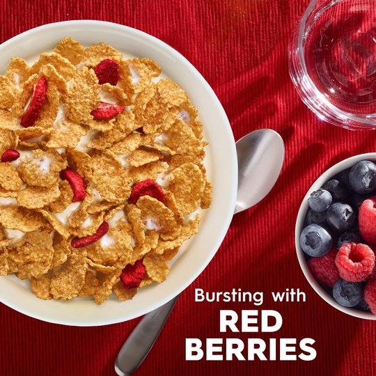 Kellogg's Special K Red Berries Breakfast Cereal, Family Size, 16.9 oz Box