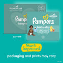 Pampers Baby Dry Diapers Size 1, 44 Count
