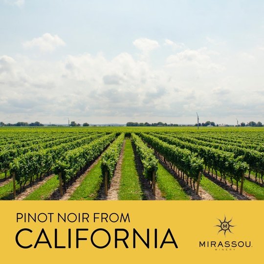 Mirassou Pinot Noir Red Wine, California, 750ml Glass Bottle