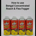 Bengal Concentrated Roach and Flea Killer Fogger, Odorless Mess-Free Dry Fog, 3 Count, 2.7 Oz Aerosol Cans