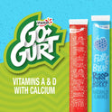 Go-Gurt Slushie Fizzy Black Raspberry and Cherry Low Fat Yogurt Style Snack Tubes 16 Ct