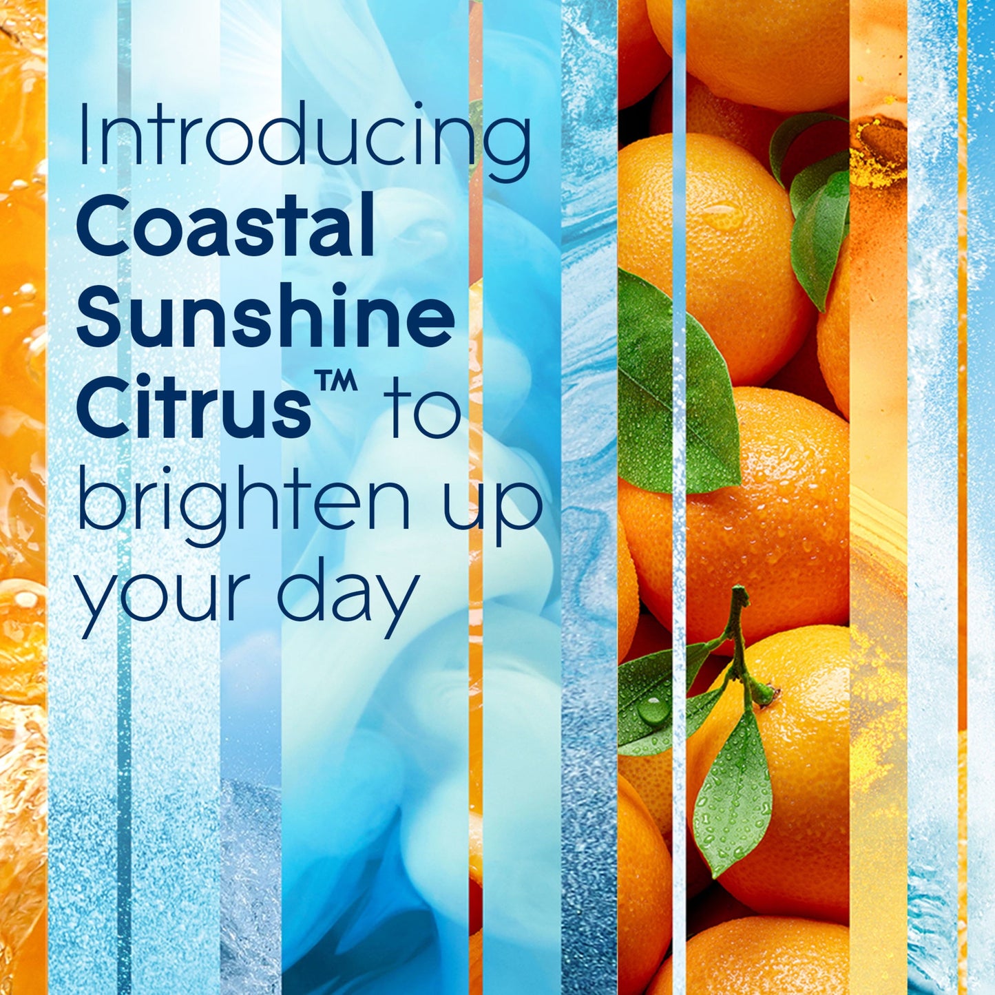 Glade Automatic Spray Refills, Air Freshener, Coastal Sunshine Citrus™, 2 x 6.2 oz