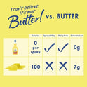 I Can't Believe It's Not Butter! Cooking Spray, 12 oz Bottle (Shelf-Stable)