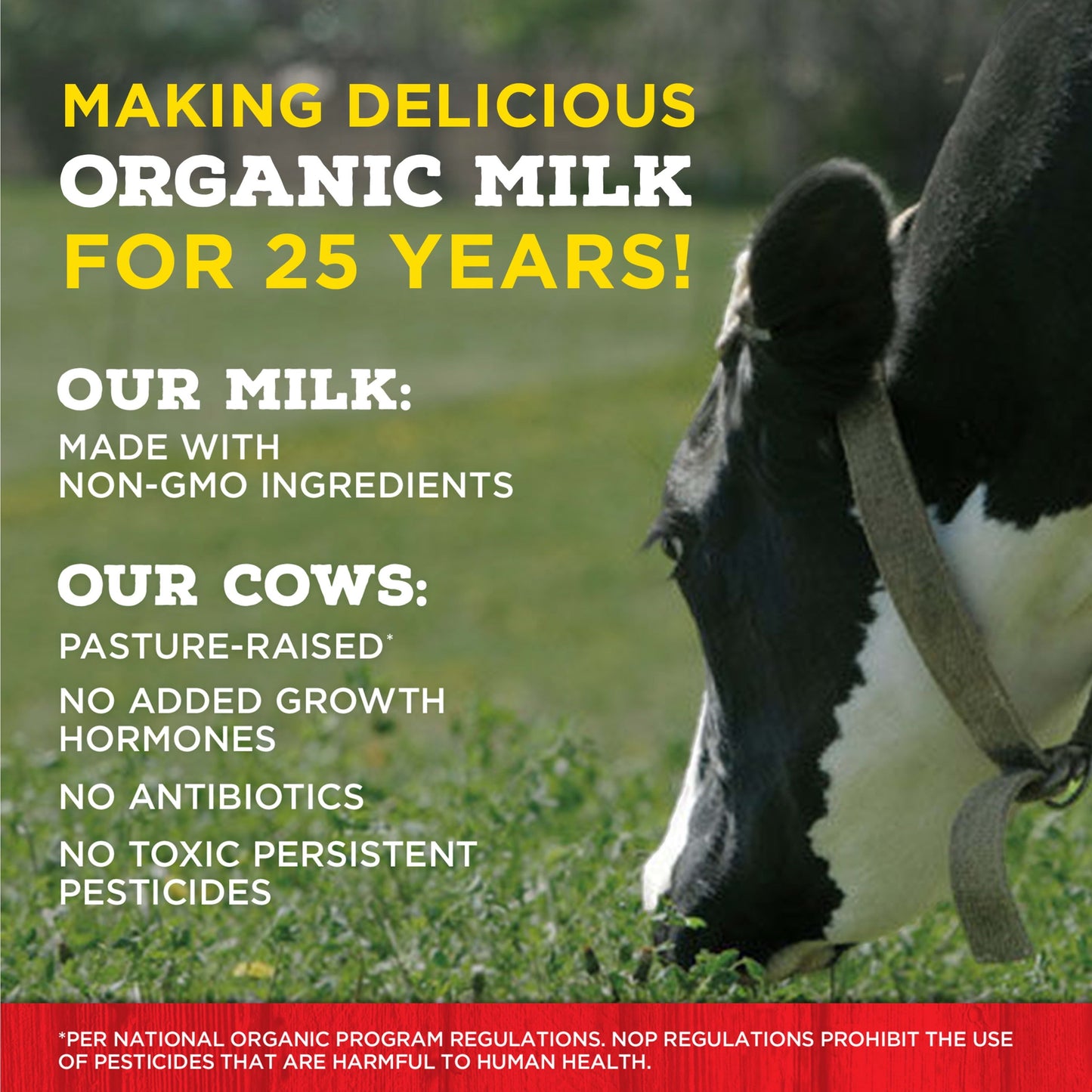 Horizon Organic 2% Reduced Fat DHA Omega-3 Milk, Half Gallon