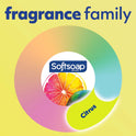 Softsoap Antibacterial Liquid Hand Soap, Fresh Citrus, 11.25 oz