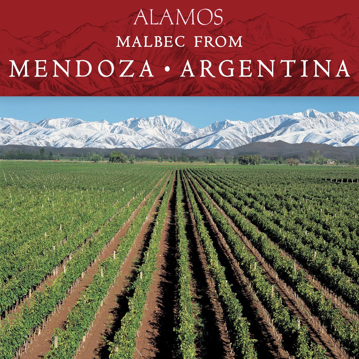 Alamos Malbec Red Wine, Argentina Wine, 750ml Glass Bottle