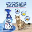 Lysol Pet Solutions –Disinfecting Cleaner, Citrus Blossom Scent, 32 FL OZ.