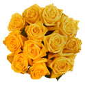 Fresh-Cut Solid Roses Flower Bunch, Minimum of 12 Stems, Colors Vary