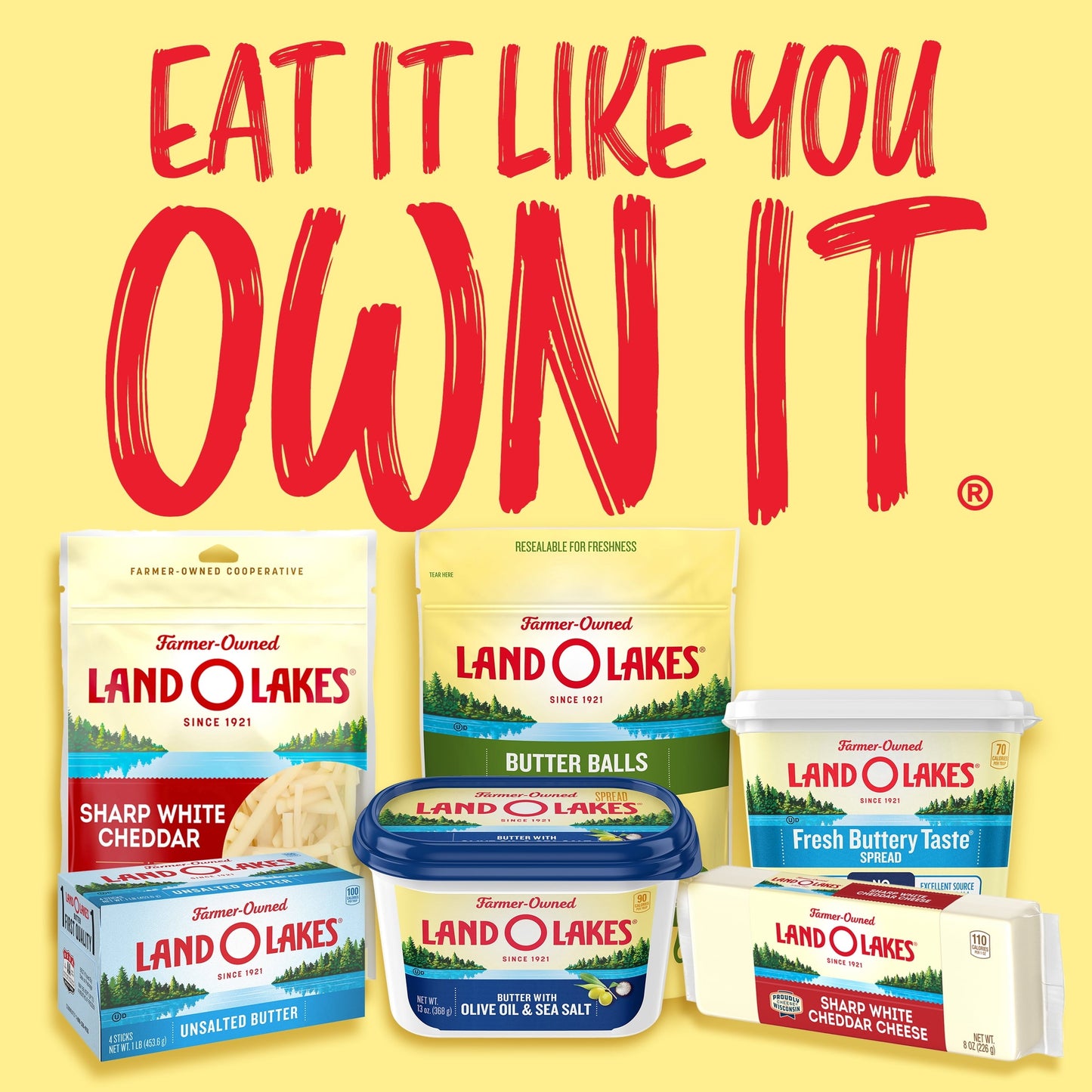 Land O Lakes® Salted Whipped Butter, 8 oz Tub