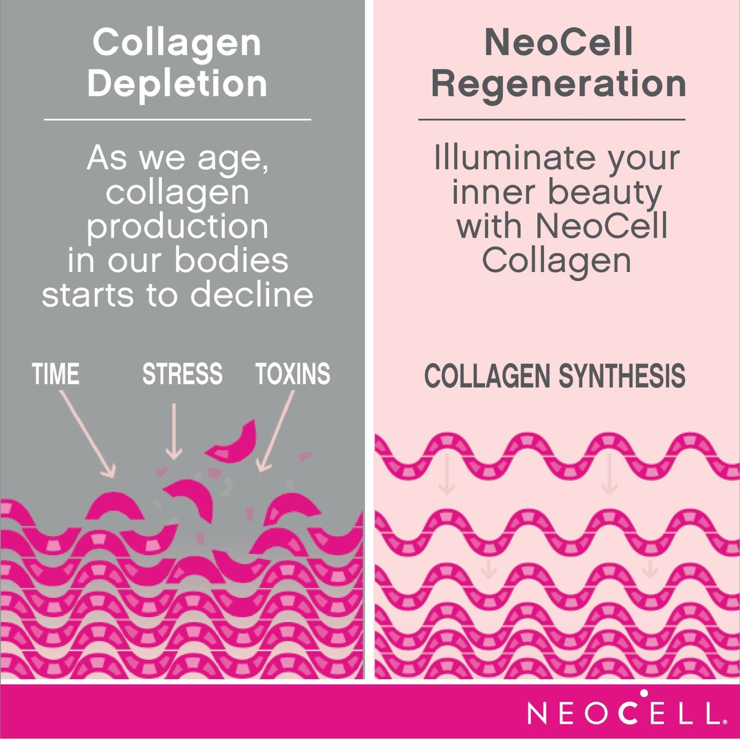 NeoCell Collagen Tablets with Vitamin C and Biotin, 180 Count