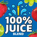 Capri Sun 100% Juice Berry Juice Box Pouches, 10 ct Box, 6 fl oz Pouches