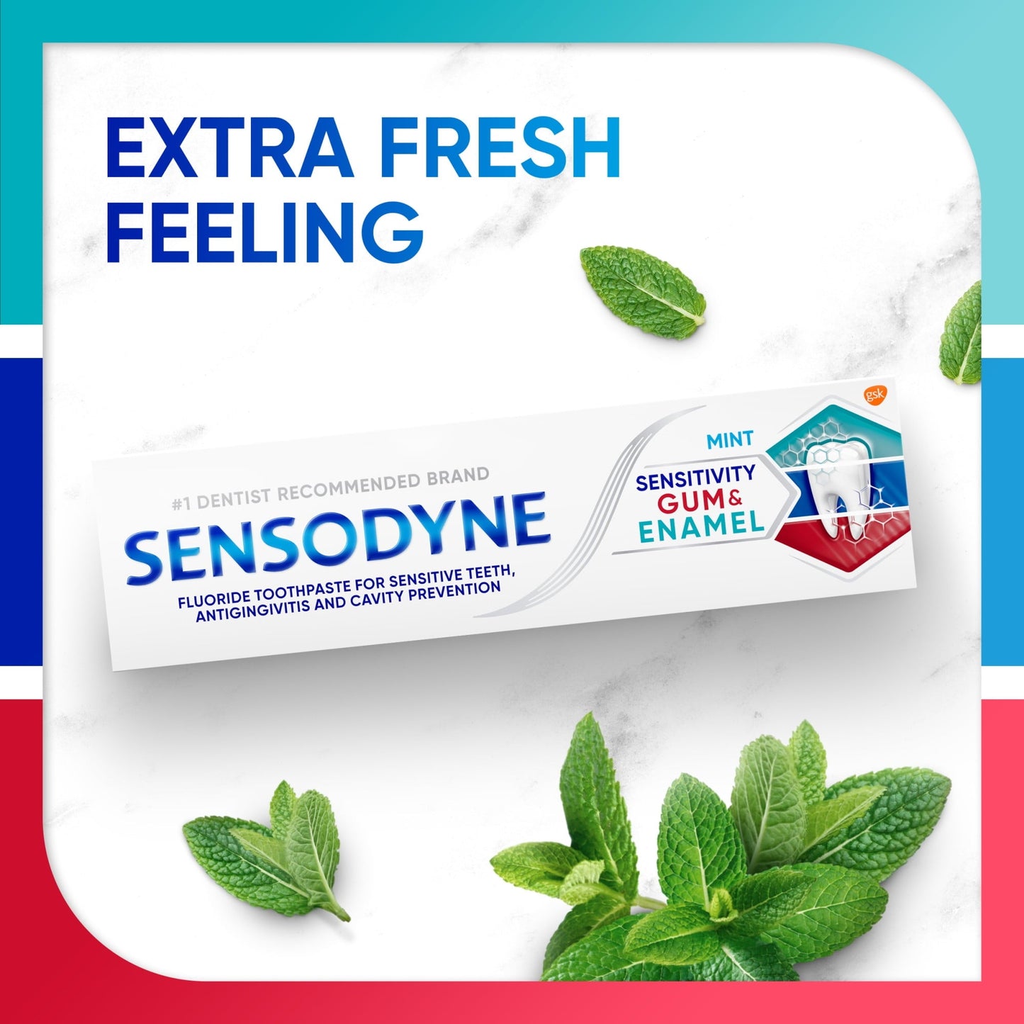 Sensodyne Enamel Fluoride & Gum Sensitive Toothpaste, Mint Flavor, 3.4 Oz