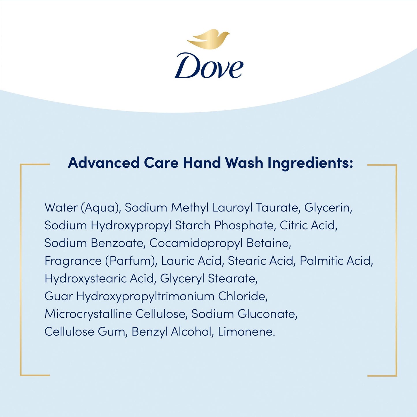 Dove Care and Protect Daily Use Antibacterial Hand Soap, 34 fl oz