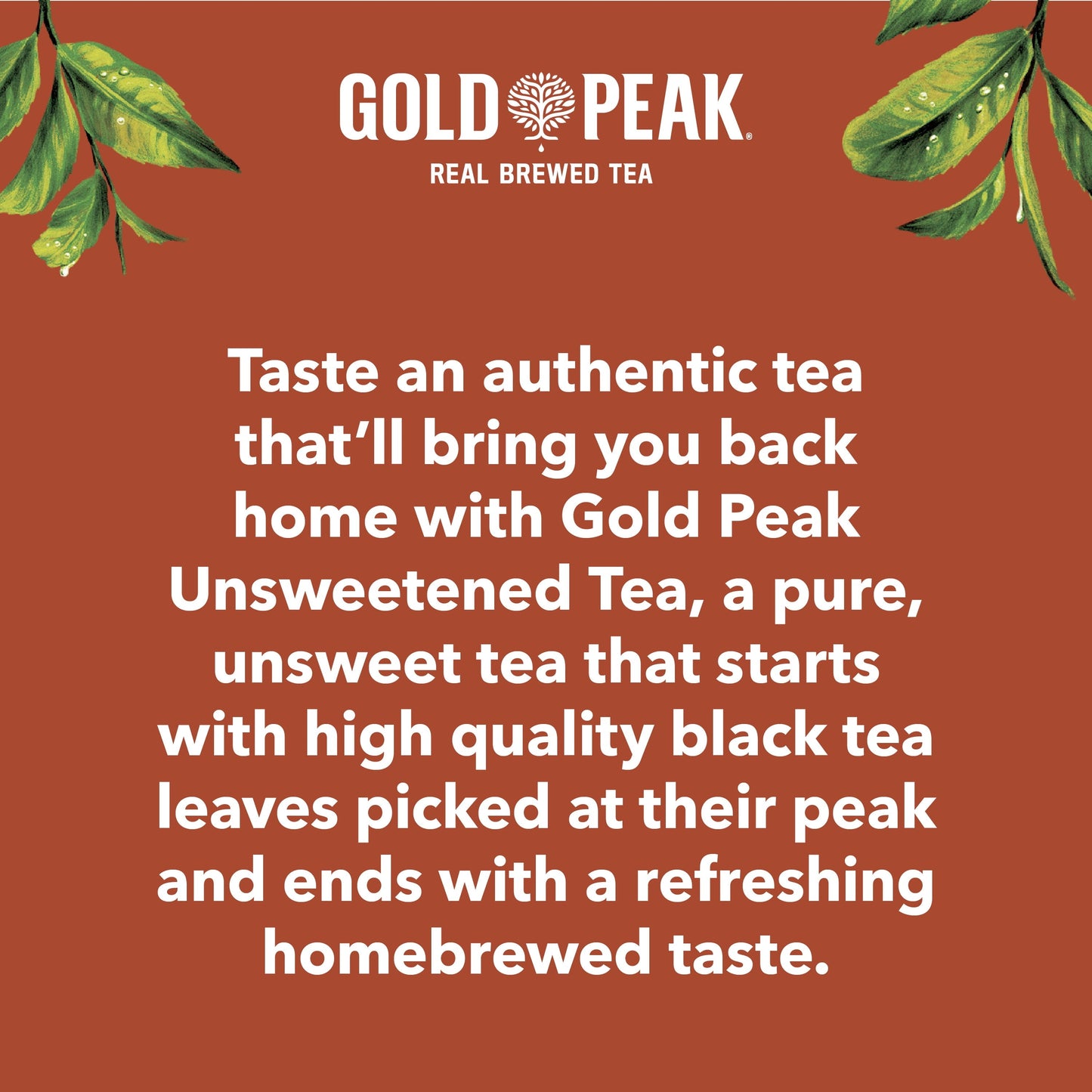 Gold Peak Real Brewed Tea Unsweetened, Black Iced Tea Drink, 89 fl oz