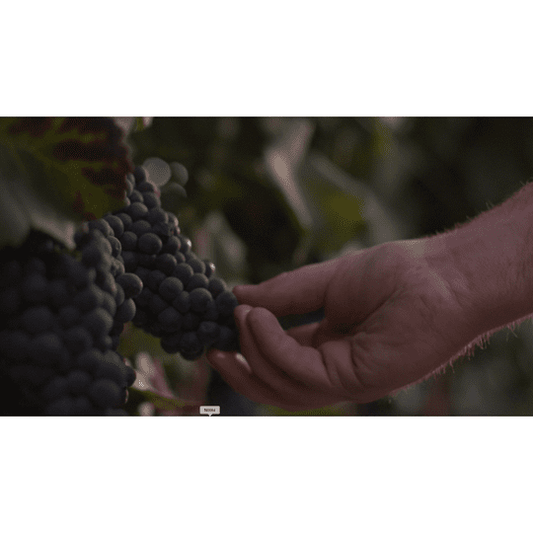 Bogle Merlot Red Wine, California, 14.5% ABV, 750ml Glass Bottle, 5-150ml Servings