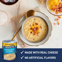 Progresso Rich & Hearty Broccoli Cheese With Bacon Canned Soup, 18 oz