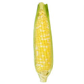 Fresh Sweet Corn on the Cob (1 each)