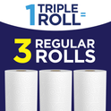 Sparkle Pick-a-Size Paper Towels, Prints, 6 Triple Rolls