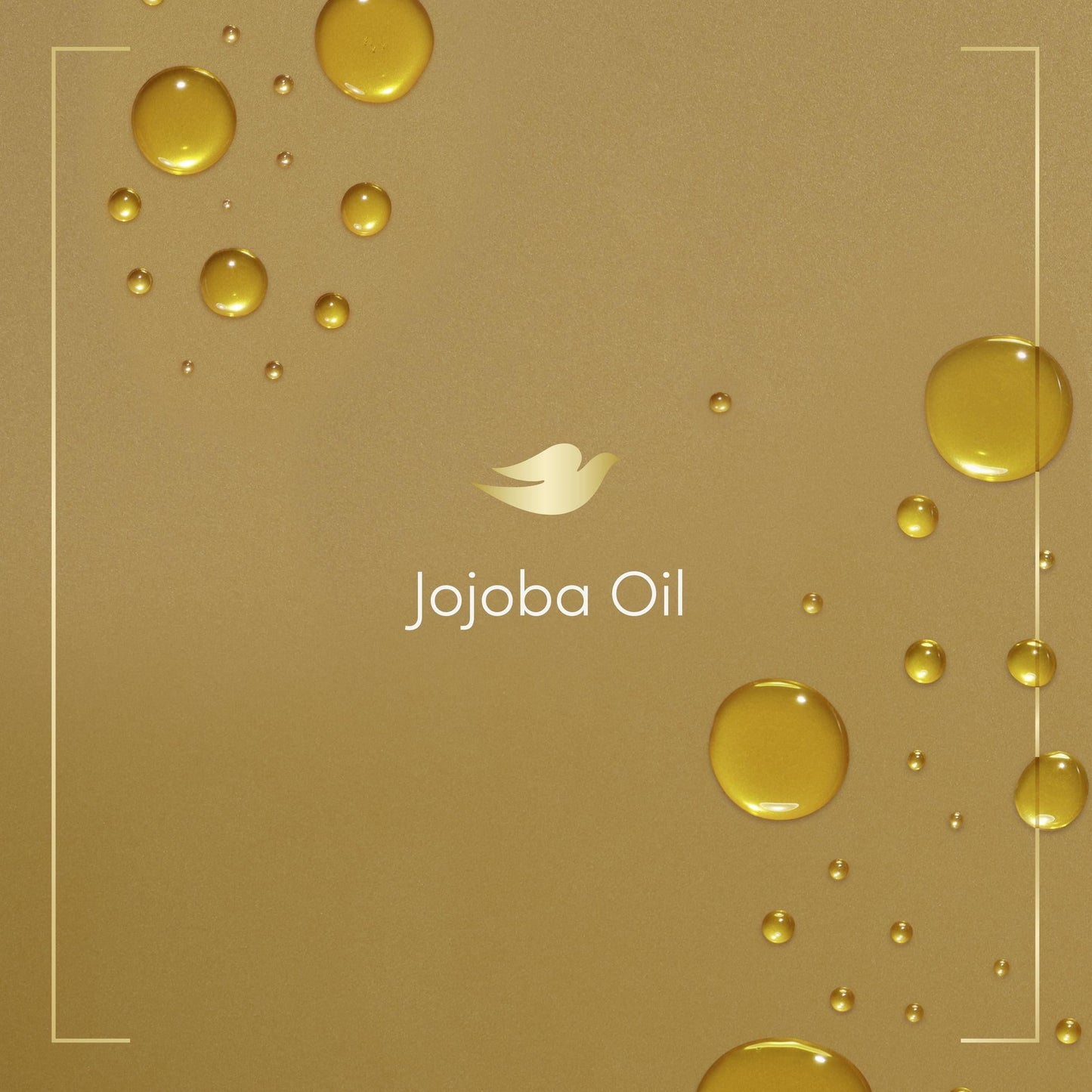 Dove Dryness Relief Long Lasting Gentle Body Wash, Jojoba Oil, 20 fl oz