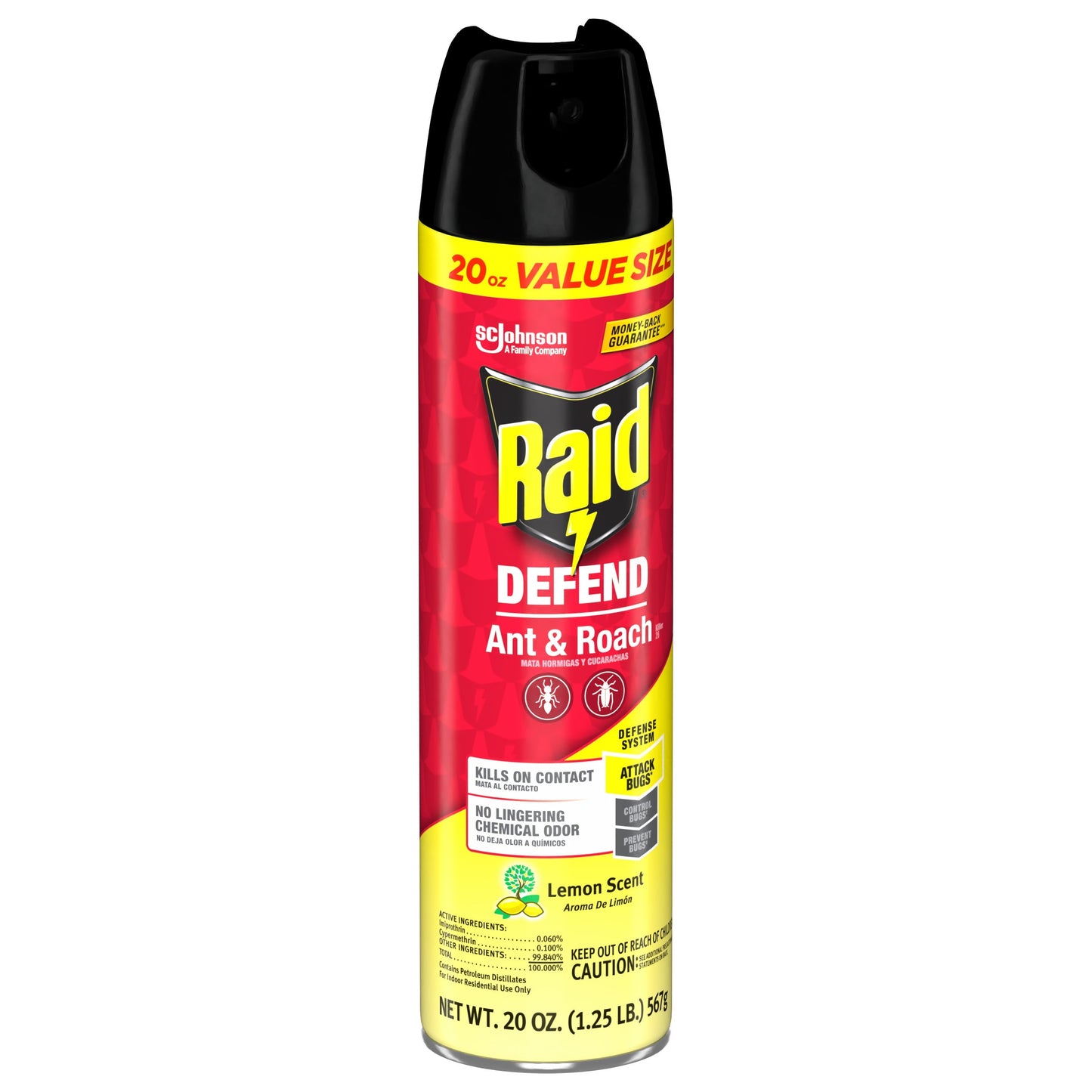 Raid Defend Indoor Defense System Roach and Ant Killer Spray Value Size, 20 oz