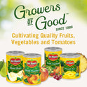 Del Monte Fruit Cocktail, Heavy Syrup, Canned Fruit, 15.25 oz Can