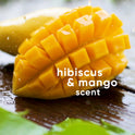 Gillette Venus Invigorating Mango & Hibiscus Scented Shave Gel, Women's Shaving Cream, 7 oz