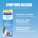 Mucinex Children's Cold & Flu Medicine, Multi-Symptom Relief, 4 fl oz
