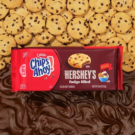 CHIPS AHOY! Chewy Hershey's Fudge Filled Soft Cookies, 9.6 oz