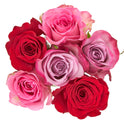 Fresh-Cut 6 Stem Roses Flower Bunch, 6 Stems, Colors Vary