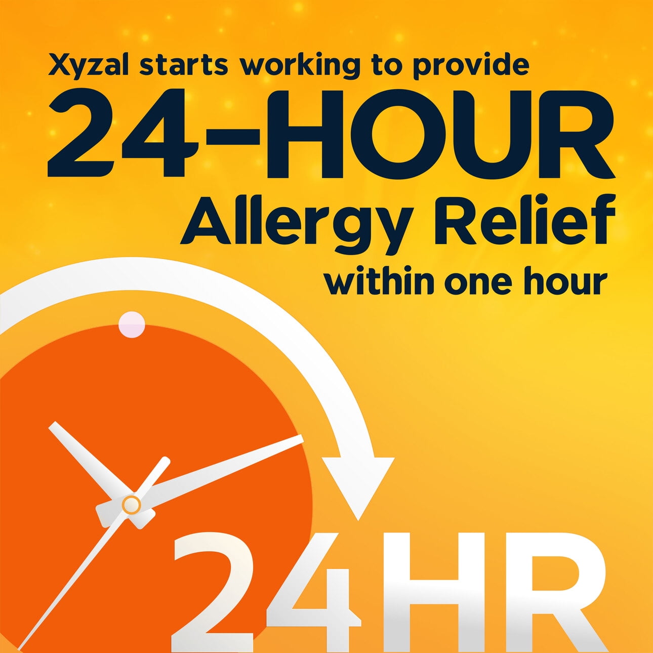 Xyzal Adult Allergy 24HR (10 Ct), Allergy Relief Tablets