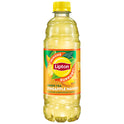 Lipton Iced Tea Immune Support Pineapple Mango Green Tea 16.9 Fl Oz, 12 Count