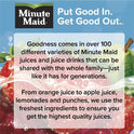 Minute Maid 100% Apple Fruit Juice Drink, 10 fl oz, 6 Bottles