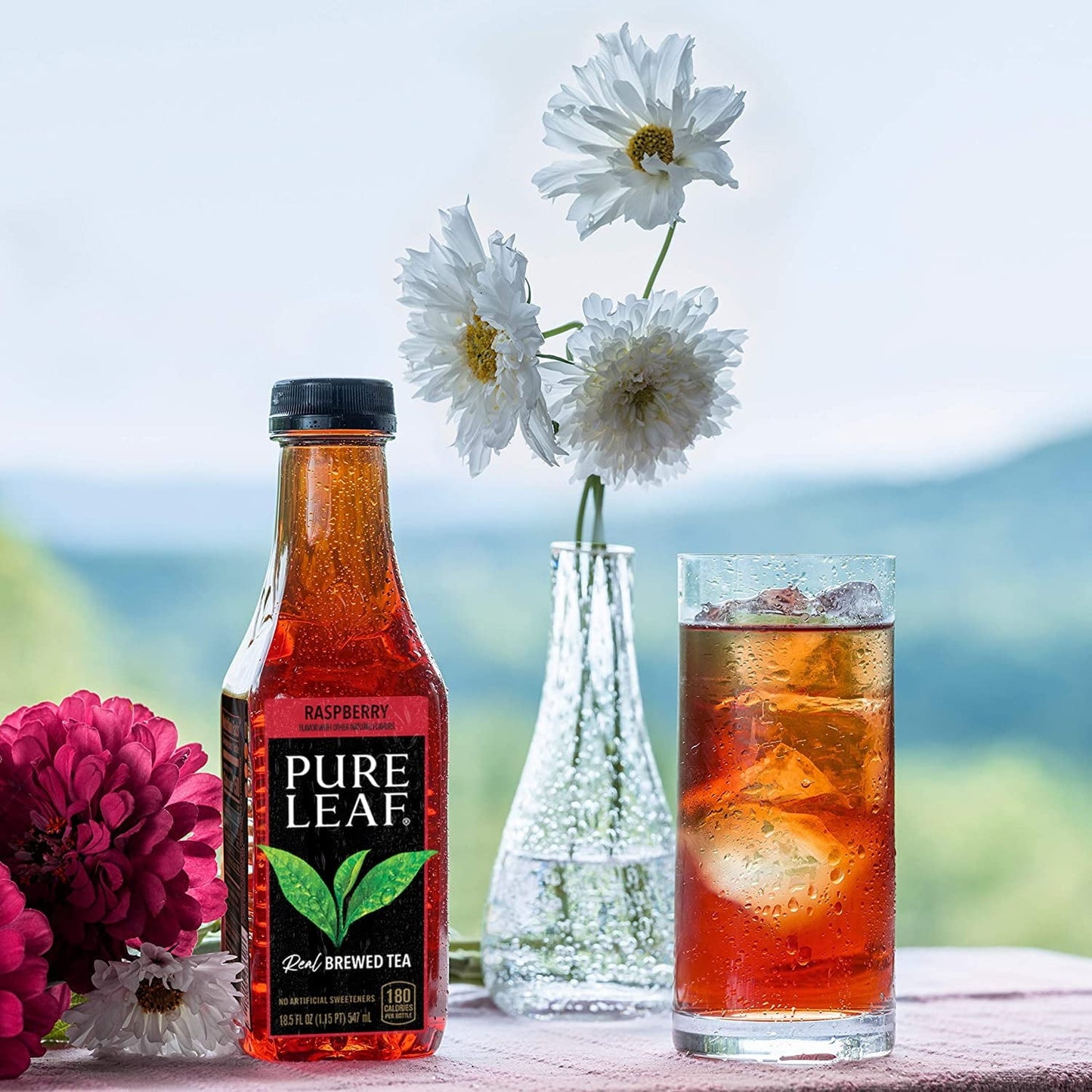 Pure Leaf Raspberry Real Brewed Iced Tea, 16.9 oz, 6 Pack Bottles