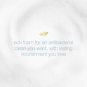 Dove Antibacterial Daily Use Foaming Hand Soap, 10.1 fl oz