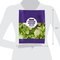 Marketside Premium Romaine Salad Blend, 9 oz Bag, Fresh