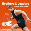 Wheaties Breakfast Cereal, Breakfast of Champions, 100% Whole Wheat Flakes, 15.6 oz