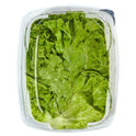 Green Giant Fresh Washed & Trimmed Green Leaf Lettuce, 7 oz