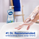 Dial Antibacterial Foaming Hand Wash, Spring Water, 7.5 fl oz