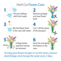 Fresh-Cut 6 Stem Roses Flower Bunch, 6 Stems, Colors Vary