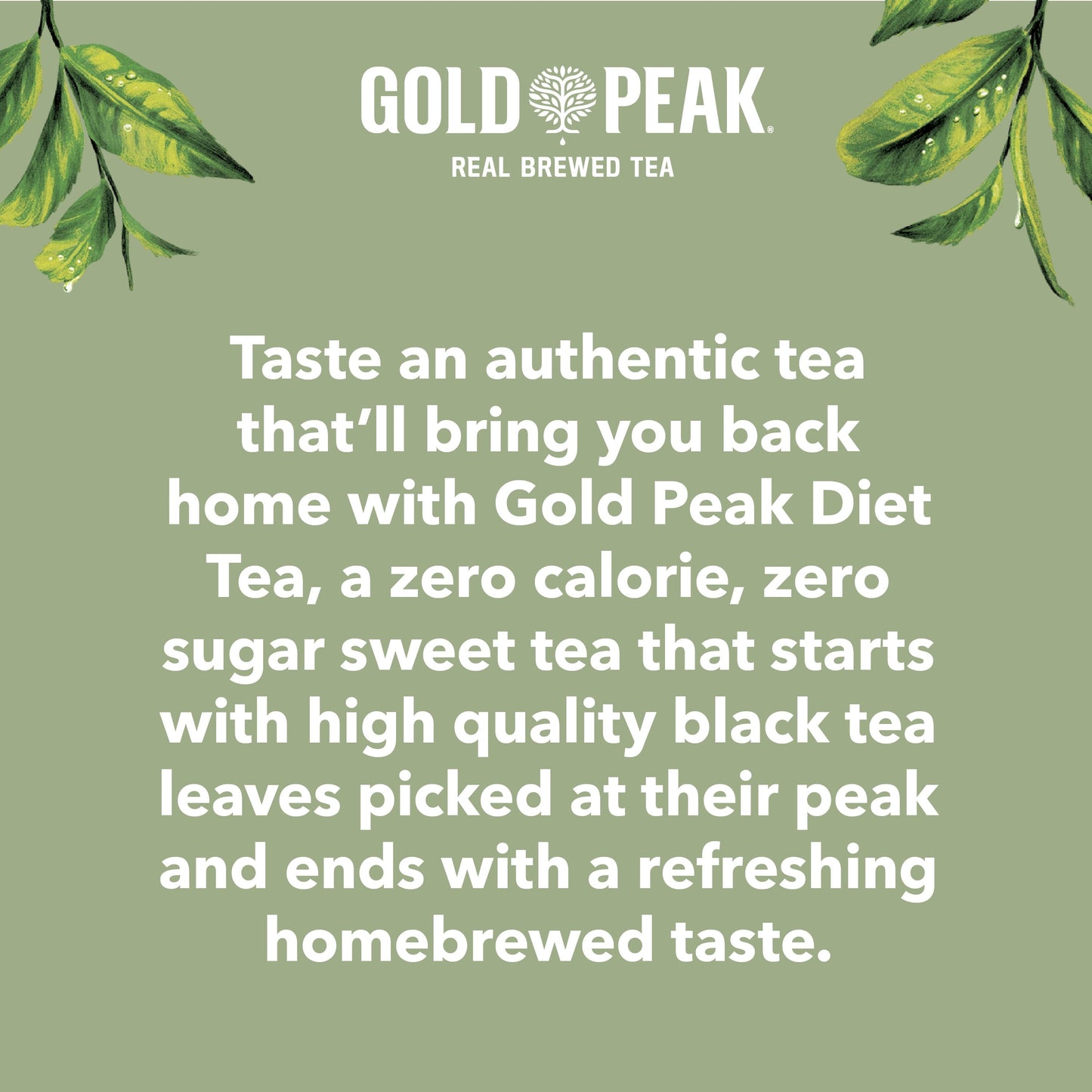 Gold Peak Real Brewed Tea Sugar Diet Iced Sweet Tea Bottled Drink, 18.5 fl oz