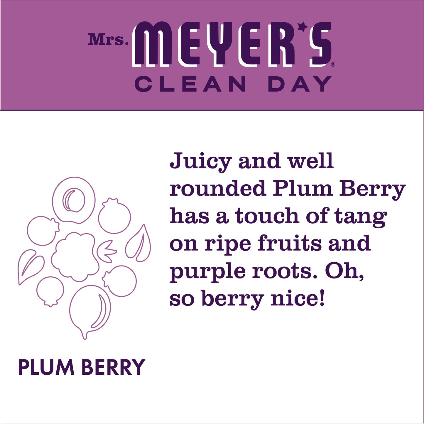 Mrs. Meyer's Clean Day Liquid Hand Soap, Plum Berry Scent, 12.5 Ounce Bottle