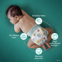 Pampers Baby Dry Diapers Size 4, 186 Count (Select for More Options)