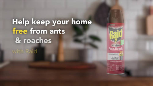 Raid Defend Outdoor Ant and Roach Insecticide Value Size, Fresh, 20 oz