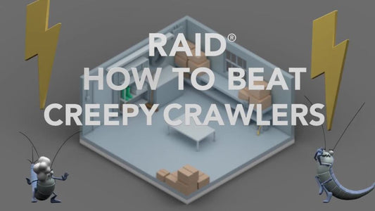 Raid Concentrated Deep Reach Pest Killer & Roach Fogger, 1.5 fl oz, 4 Count