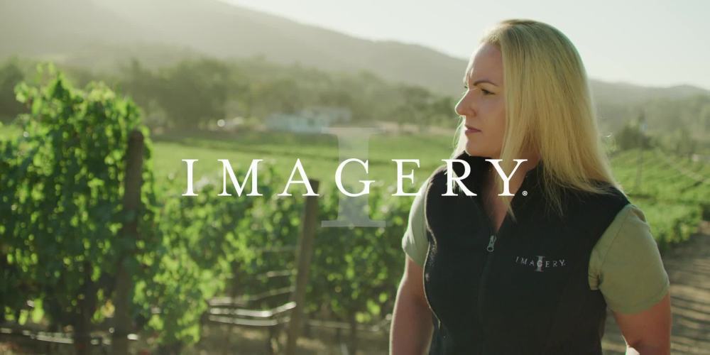 Imagery Cabernet Sauvignon California Red Wine, 750 ml Glass, ABV 14.30%